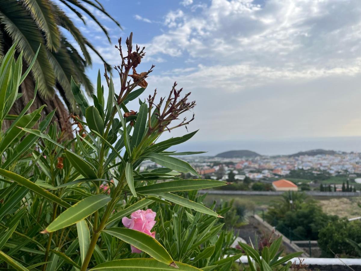 Вилла Rural Jardines La Quinta Эль-Пасо Экстерьер фото