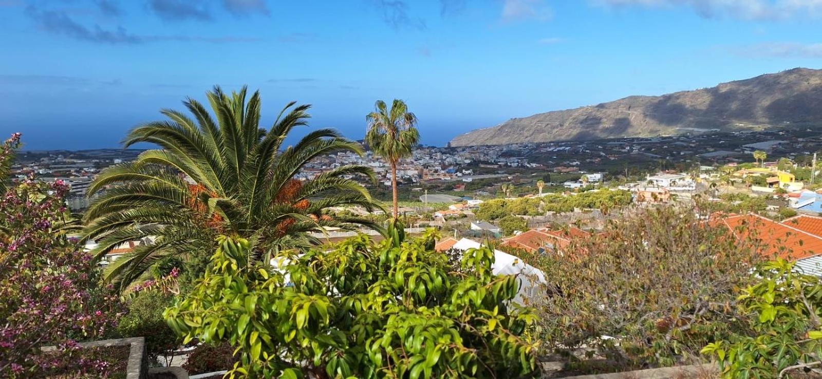 Вилла Rural Jardines La Quinta Эль-Пасо Экстерьер фото